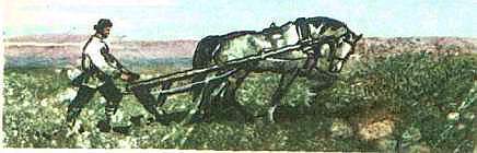 Русские богатыри